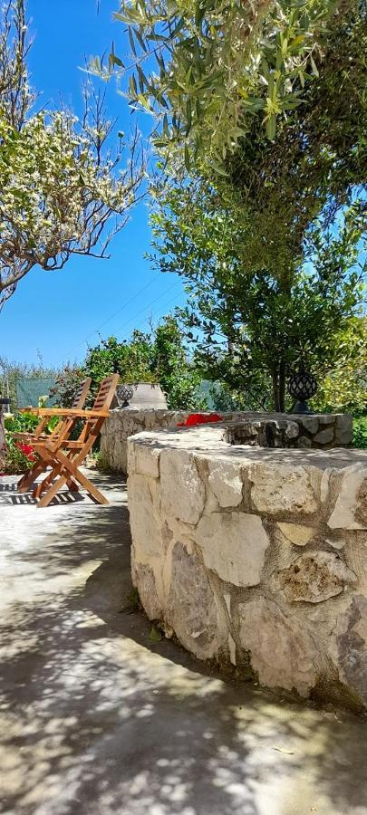 Margarita'S Stone House Apartment Plátanos Екстериор снимка